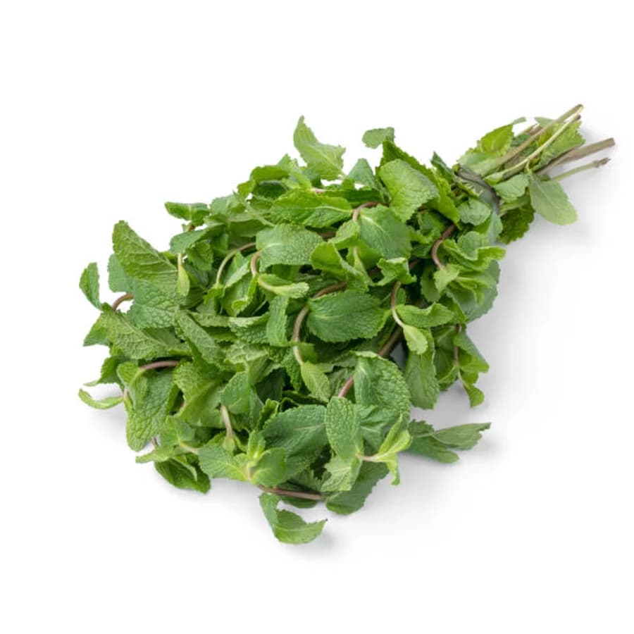 Menthe Fraîche