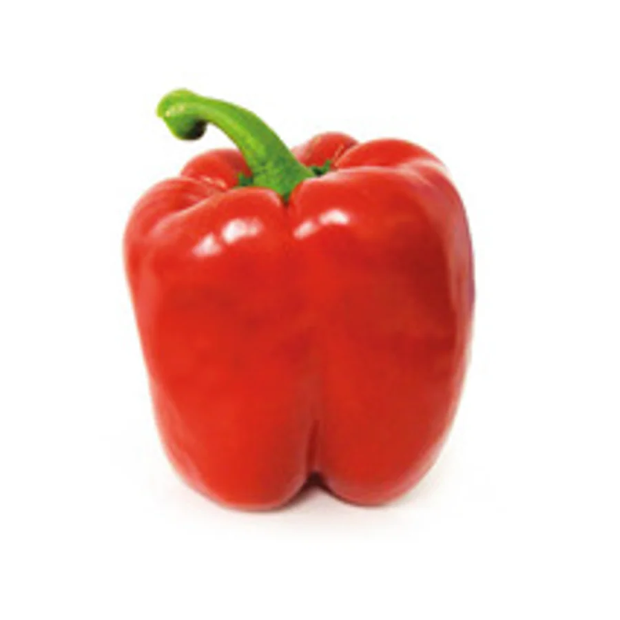 Poivrons Tricolores