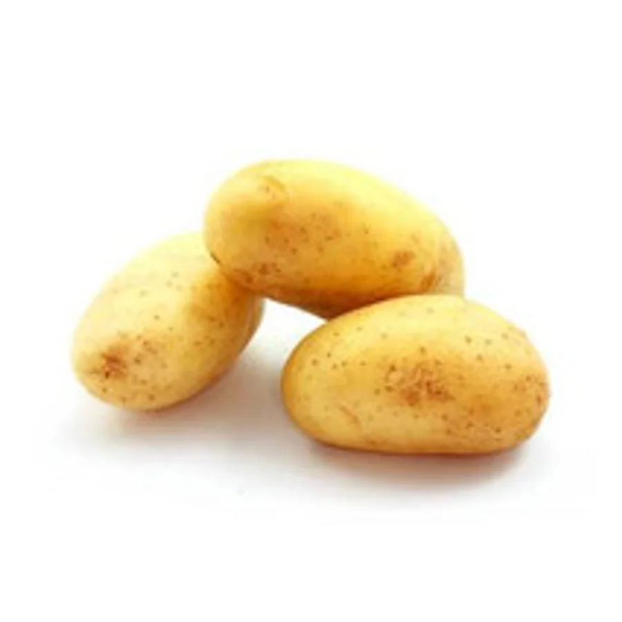 Pommes de terre agria vrac