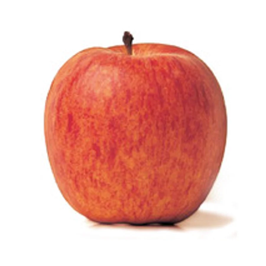 Pommes Gala