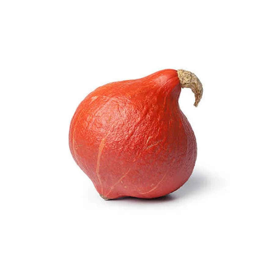 Potimarron