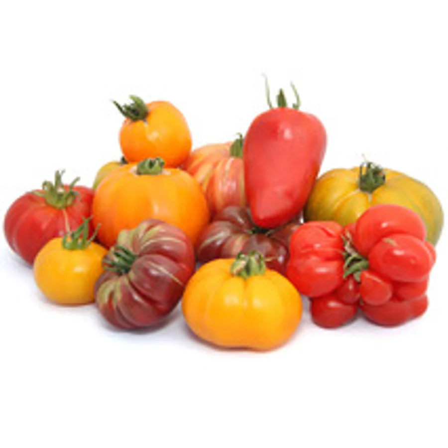 Tomate Coeur de boeuf