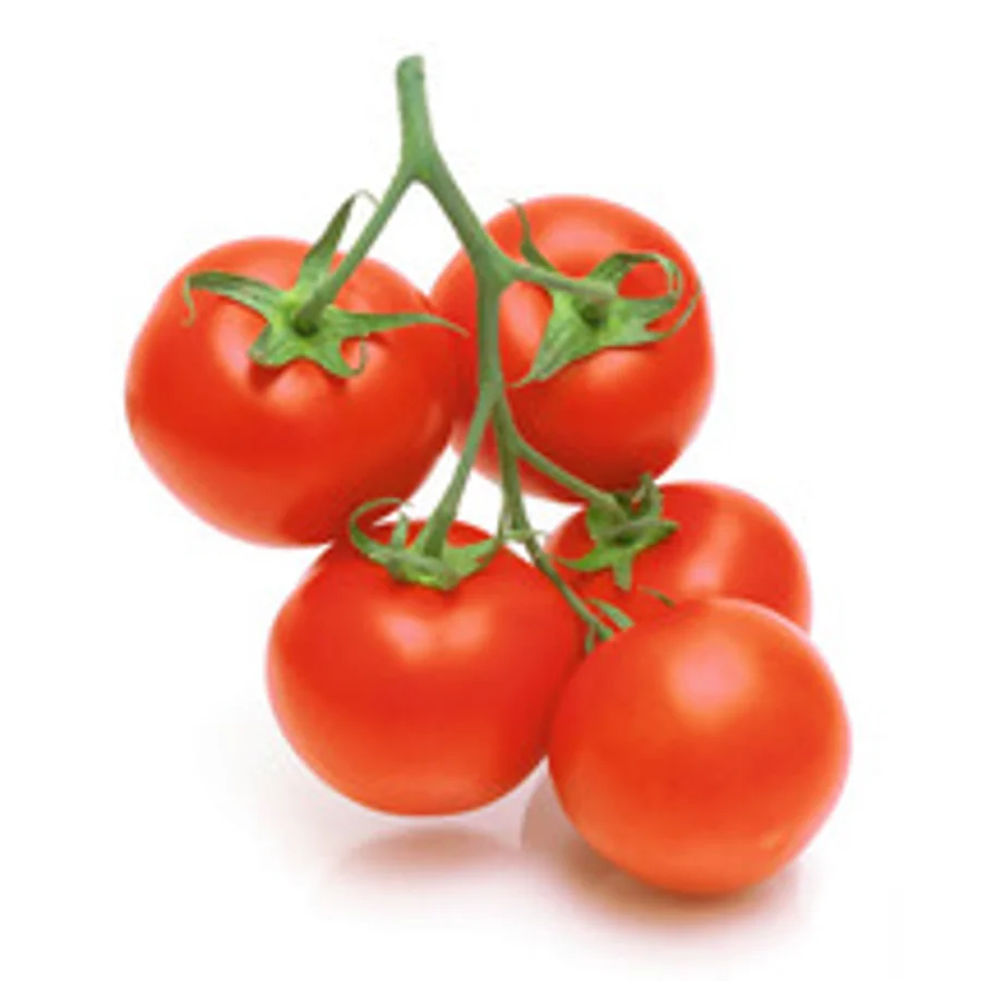 Tomate grappe