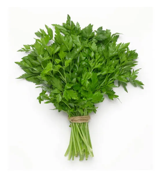 Persil Plat